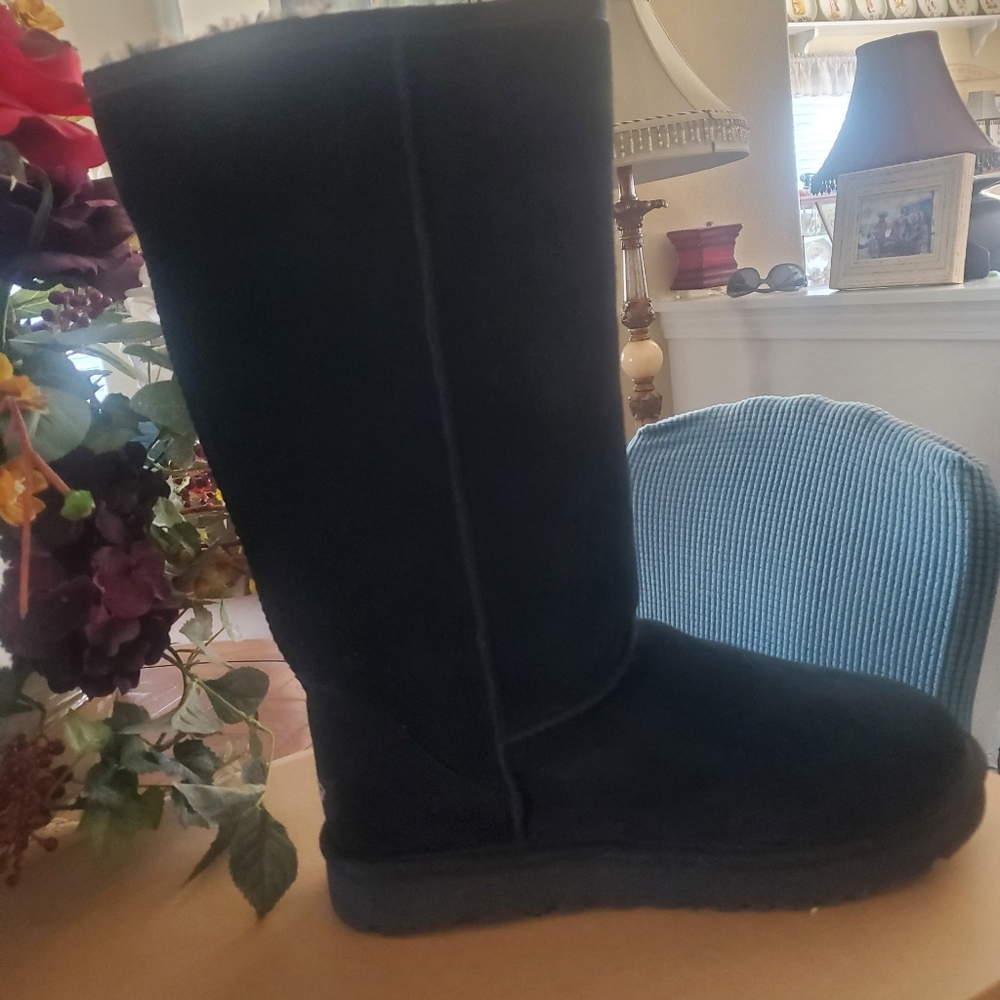 Brand new uggs